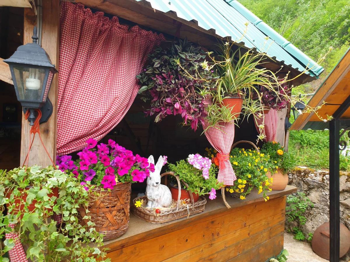 Kamp Vrbnica Hotel Plužine Ngoại thất bức ảnh