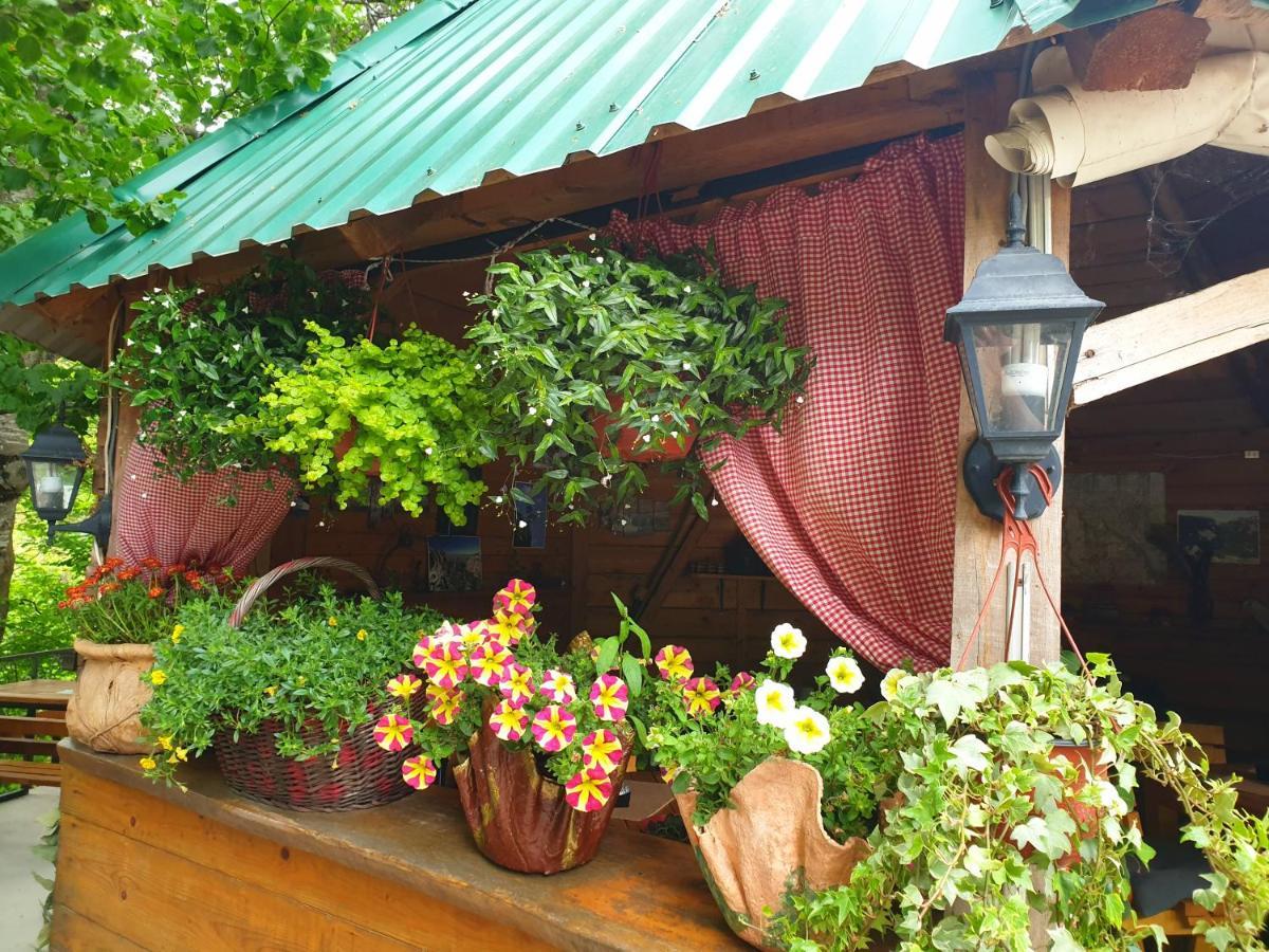 Kamp Vrbnica Hotel Plužine Ngoại thất bức ảnh